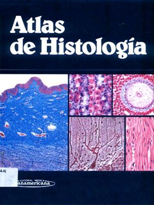 e-books-medicina-13.jpg